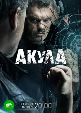 Акула 2022